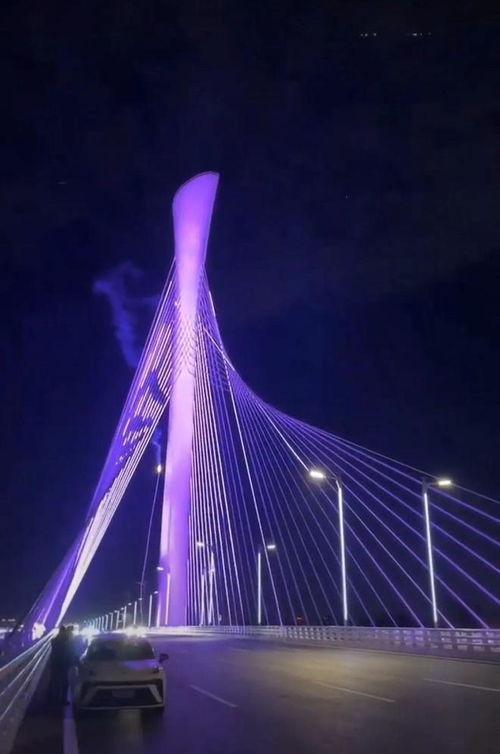 石家庄大桥爆料最新消息,工程进展与安全状况揭秘 第1张 石家庄大桥爆料最新消息,工程进展与安全状况揭秘 第1张