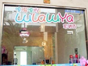 嘉善宠物店爆料视频最新,惊人内幕揭露行业黑幕 第1张 嘉善宠物店爆料视频最新,惊人内幕揭露行业黑幕 第1张